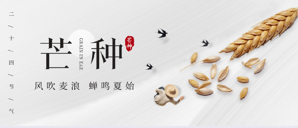 芒種 | 守住土壤健康，保護生態(tài)環(huán)境